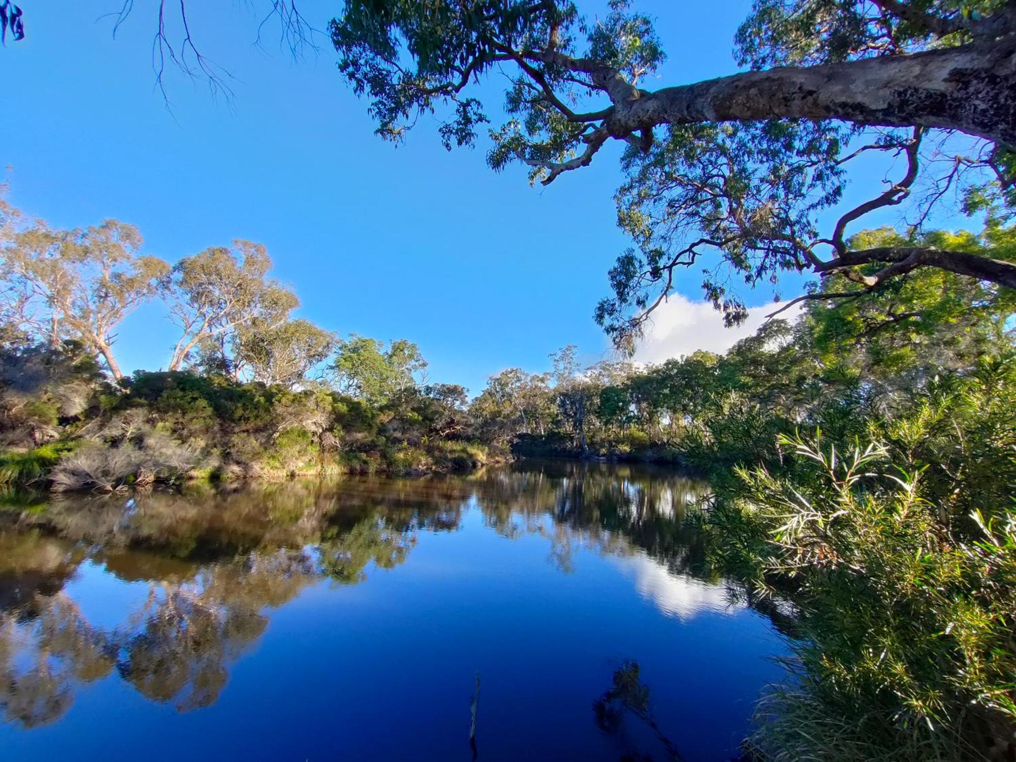 Severn River Cottages Severnlea Экстерьер фото